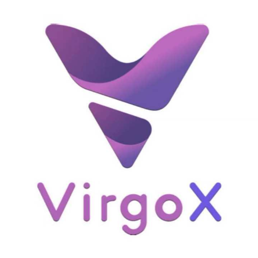 Virgo X