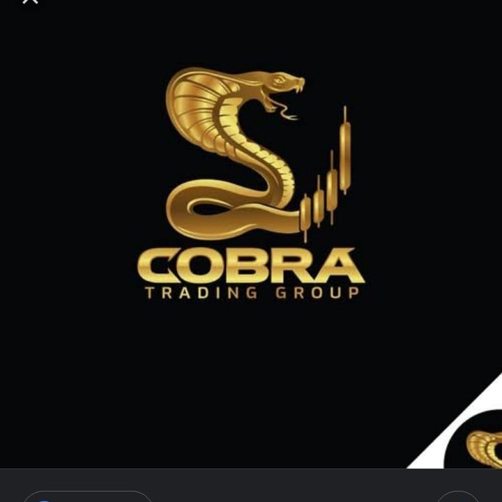 COBRA Trading Group