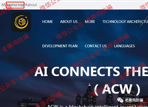 ACW阿联球智能量化-自建假的BitBox交易所自导自演！！