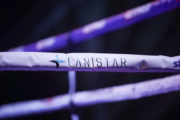 Fintech Tools That Are Custom Made For You: Lanistar and Monzo