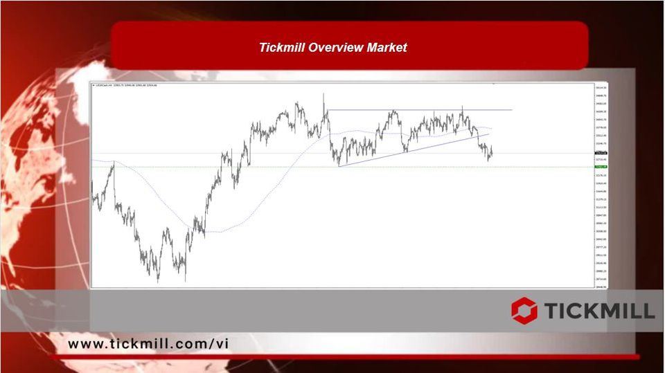 Tickmill Overview Market 
