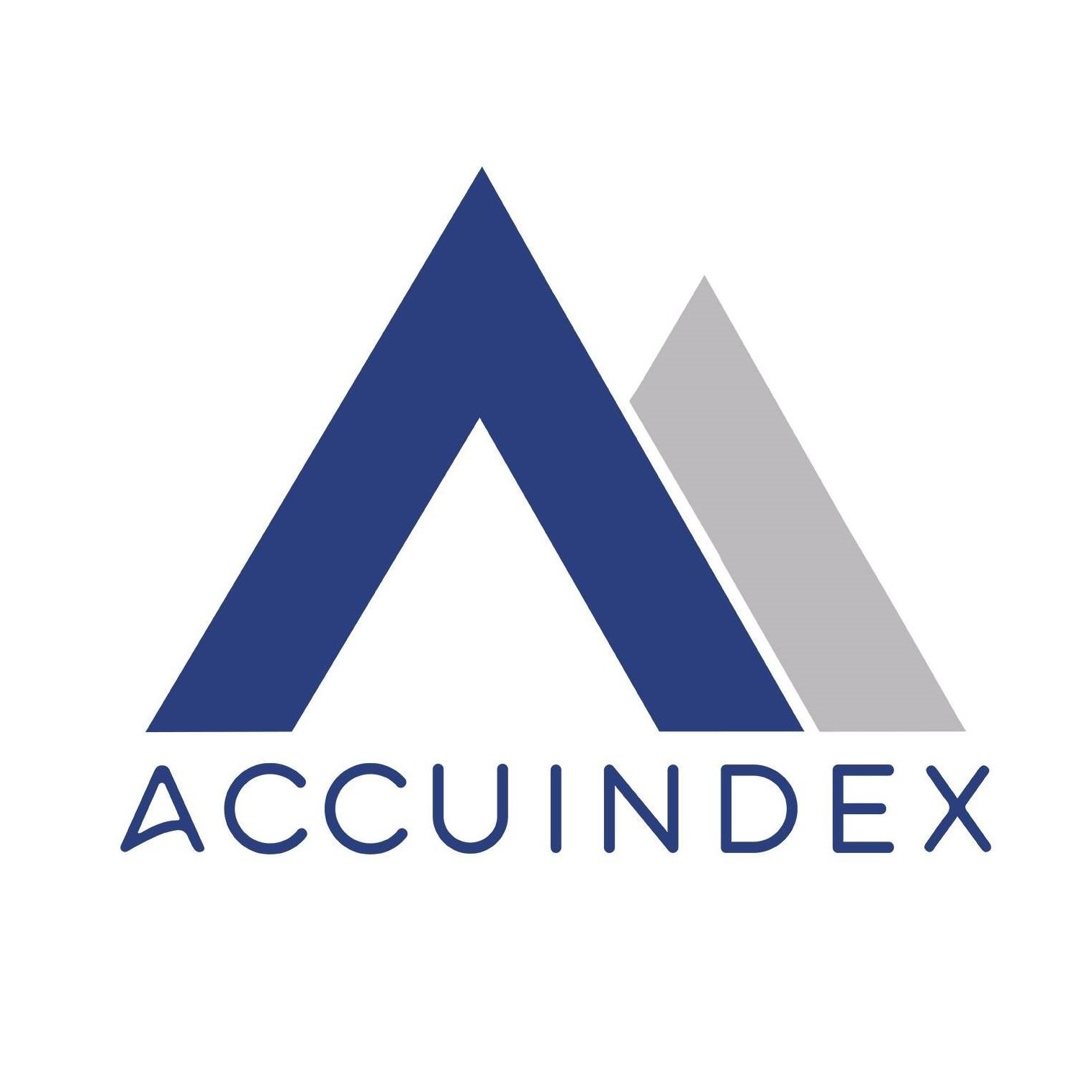 Gold Sponsor Accuindex made its debut in the Contest