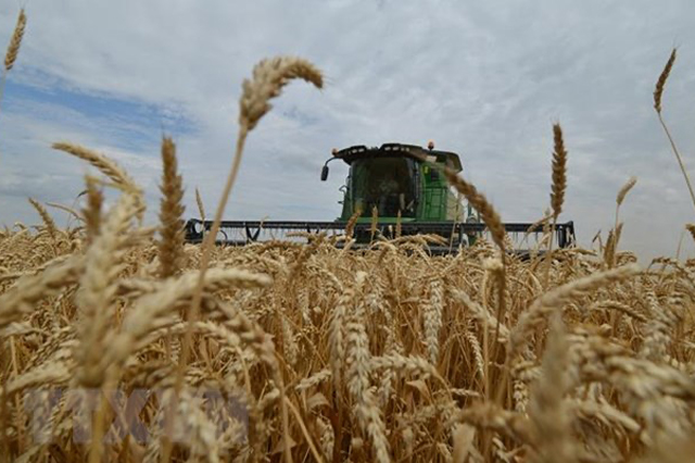 Nga tăng cường hoạt động thương mại nông nghiệp với Trung Quốc