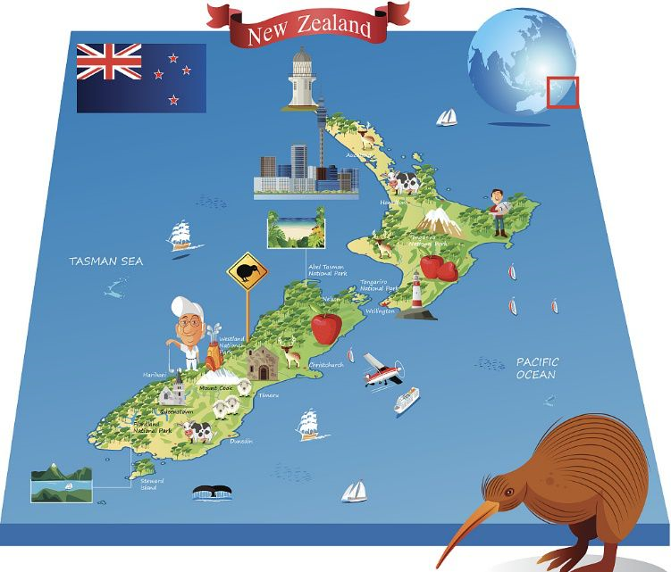 新西兰 纽元 牧业 持续增长 教育 新西兰元