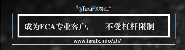 TeraFX--FM伦敦峰会正式开幕