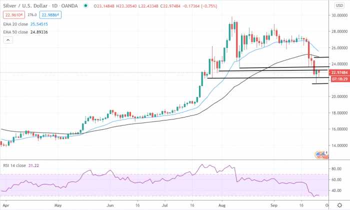 Silver Price Daily Forecast – Support At $22.30 Showed Its Strength