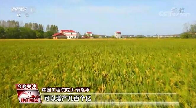我国杂交稻亩产取得突破 为保障全球粮食安全贡献中国智慧
        