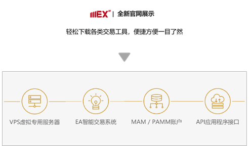 MEXGroup：官方动态 | 焕然升级！大通金融全新中文官网正式上线
