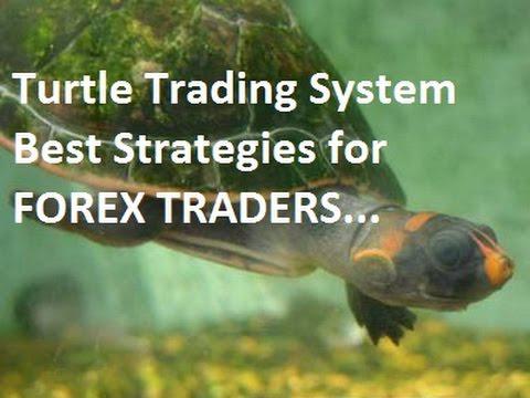 Chia sẻ một hệ thống giao dịch huyền thoại - Turtle Trading System - Hồi Giới Thiệu