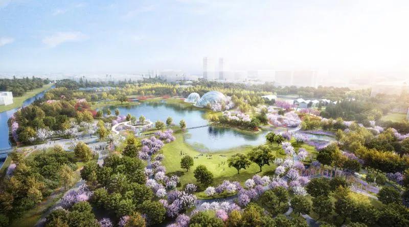 今年底上海公园总数将超过400座，比五年前增加一倍多