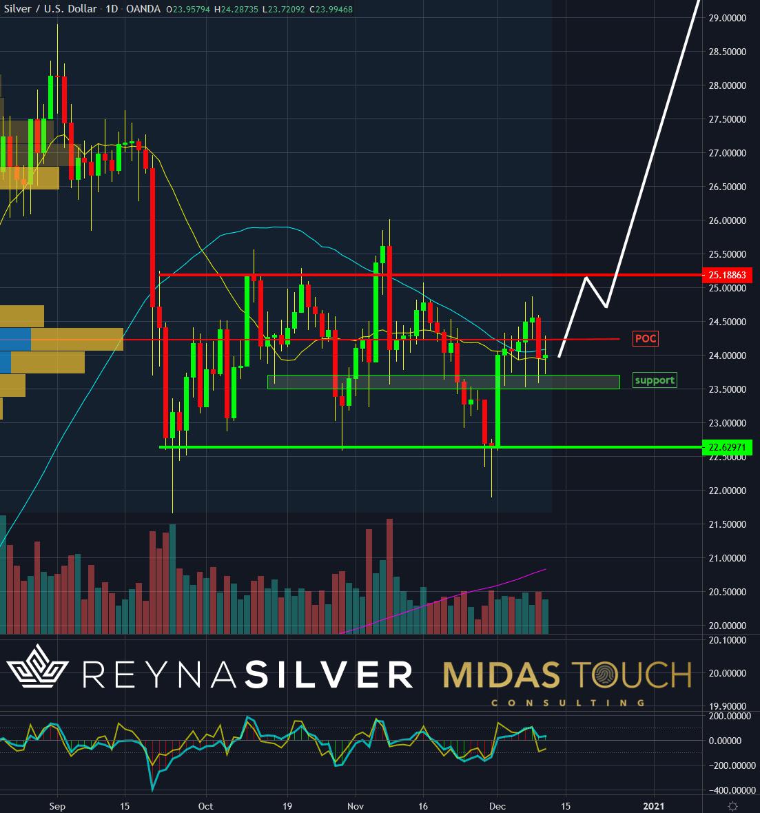 Silver Chartbook: The Silver Permabull