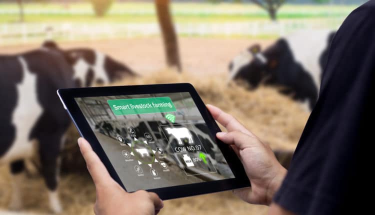 Modern approaches to livestock farming
