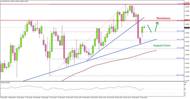 EUR/USD dips likely to remain supported above 1.2100