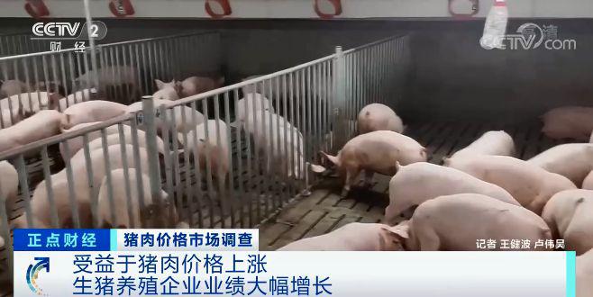 猪肉涨涨涨，生猪期货跌跌跌 预示着什么?