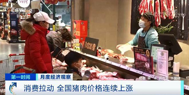 生猪 猪肉 价格 猪价 期货 上涨