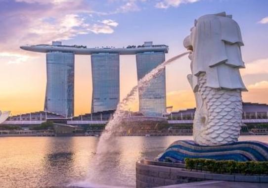 新加坡交易所报告2020年12月数字强劲