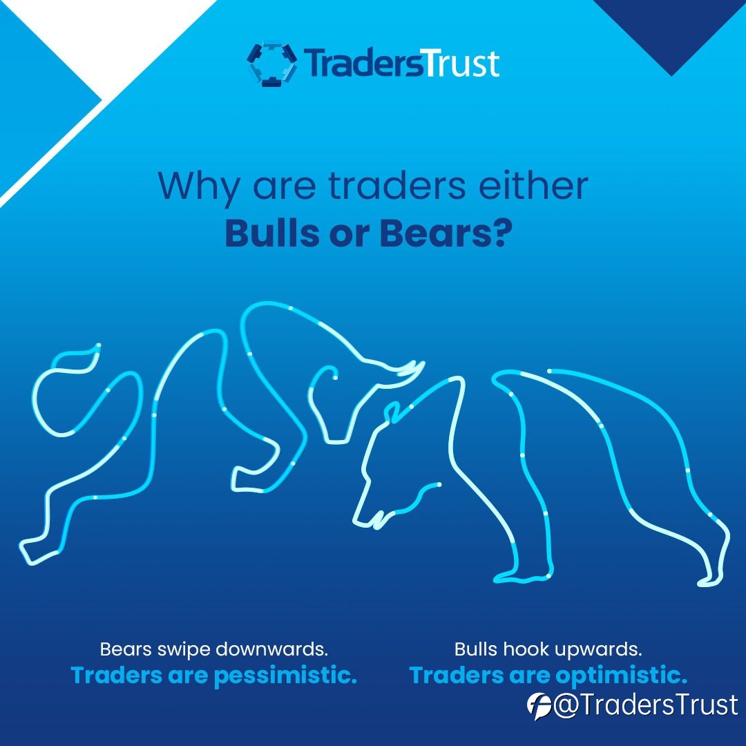 Why are traders either Bulls or Bears?