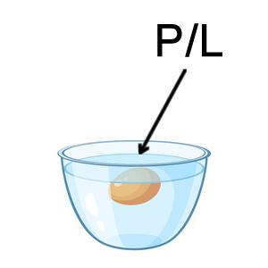 What is Unrealized P/L and Floating P/L?