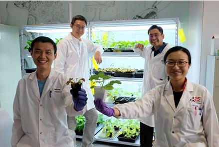 让植物“张嘴说话”：新加坡「植物机器人」未来可成为环境探测器促进农业生产