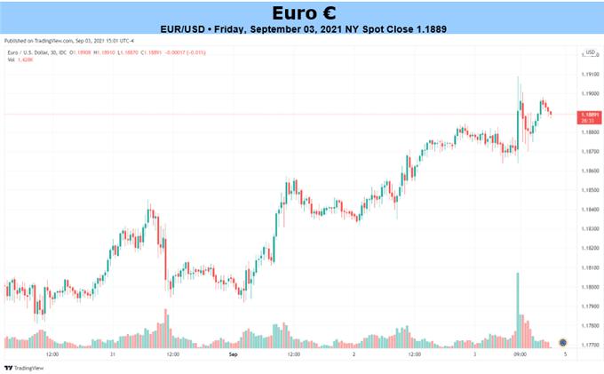 Euro Forecast: EUR/USD Outlook Bearish, Doves to Outvote Hawks at ECB Meeting