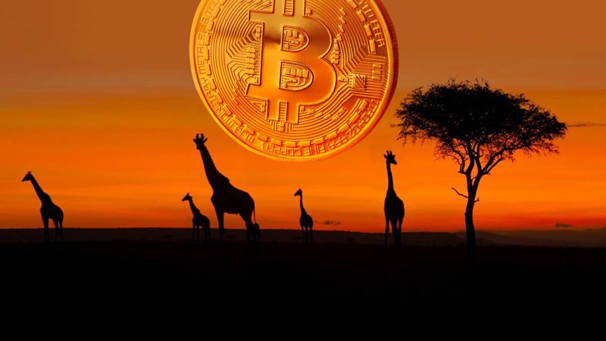 Cryptocurrency adoption rate in Africa has increased by 1,200% in 2021