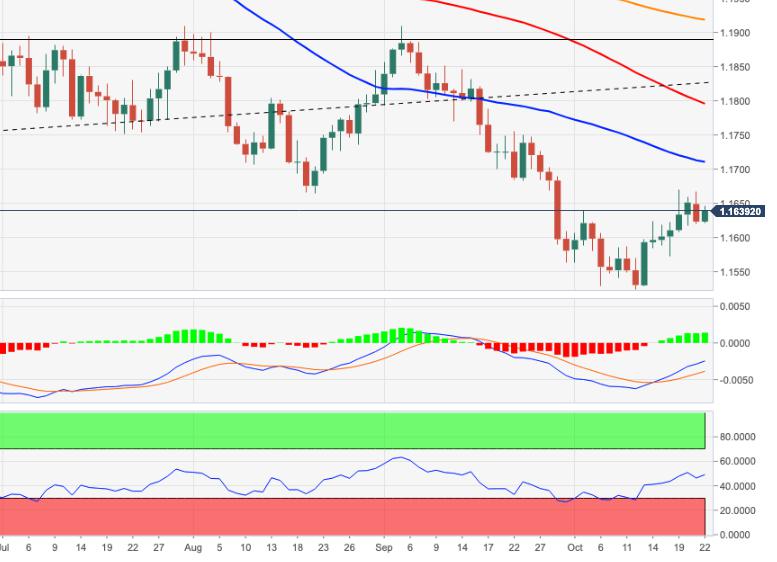 EUR/USD Price Analysis: Next on the upside comes 1.1670