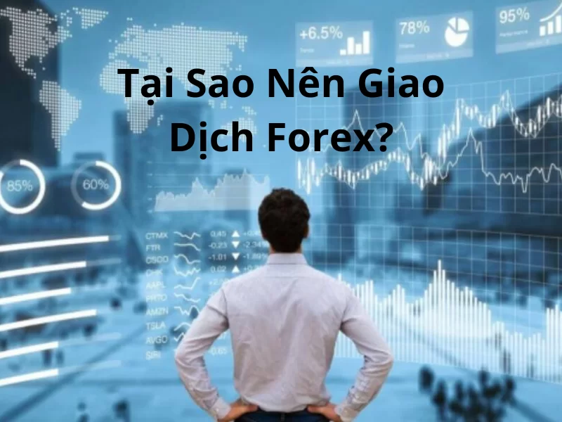 Tại sao nên giao dịch Forex?