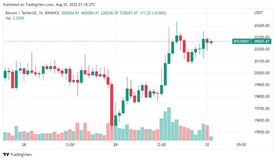 Giá Coin hôm nay 30/8: Bitcoin chạm đến vùng kích hoạt “Short squeeze”, altcoin tạm xanh khi chứng khoán Mỹ tiếp tục giảm