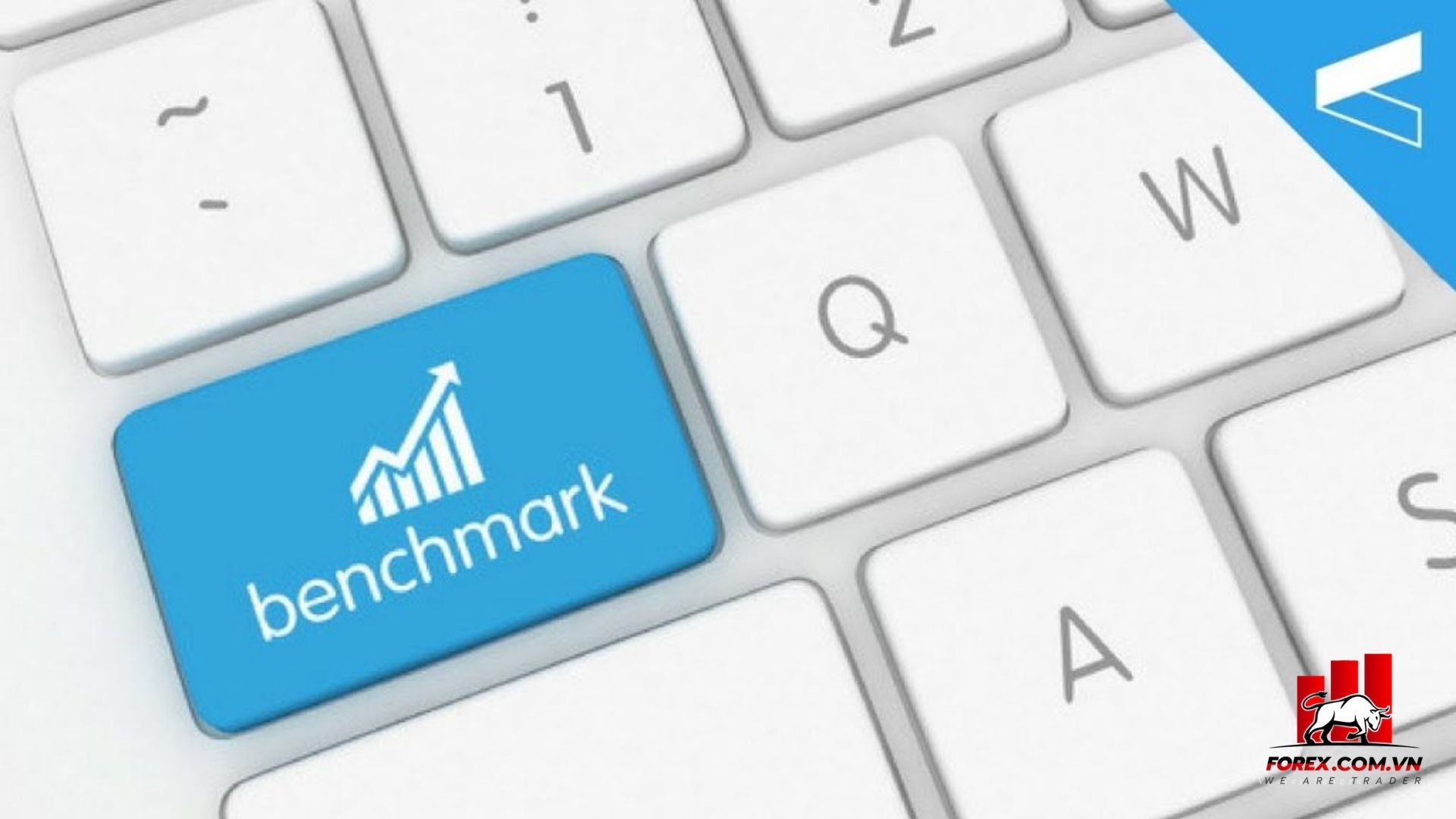 Benchmark là gì? Ý nghĩa điểm định chuẩn trong thị trường Forex