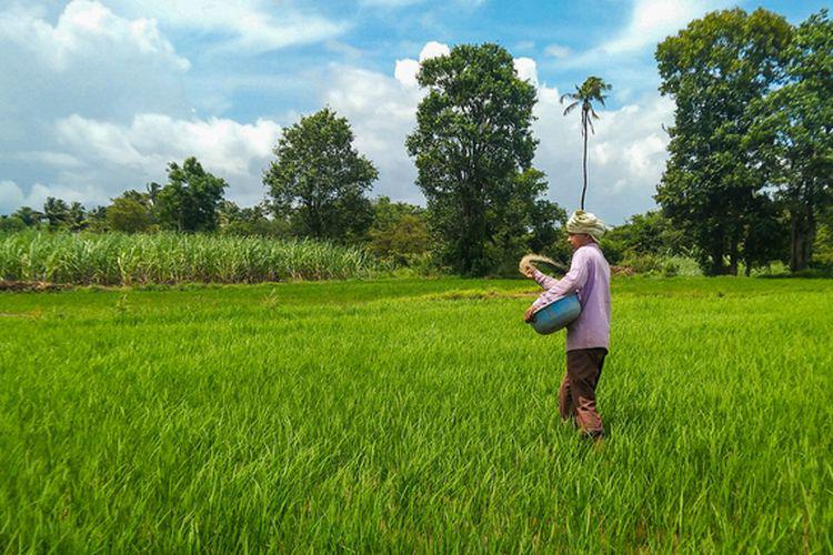 Dapat Suntikan Rp 57 Miliar, Eratani Fokus Tingkatkan Produktivitas Petani Indonesia