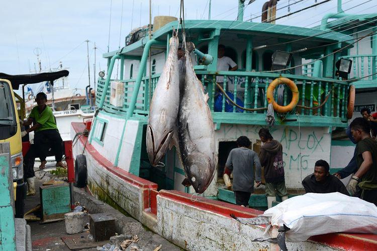 Apindo: Kebijakan Penangkapan Ikan Berbasis Kuota Harus Pro Pelaku Usaha