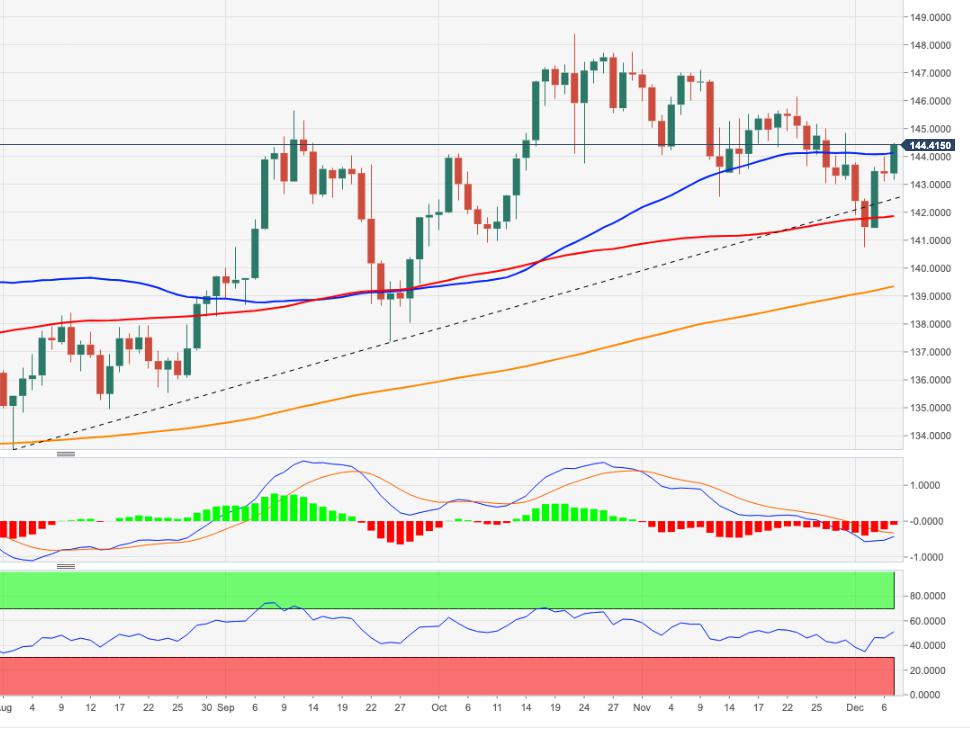 EUR/JPY Price Analysis: Recovery now targets 146.00 and above