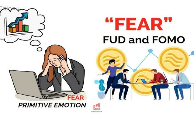 FUD là gì? Hiểu rõ FUD để chiến thắng thị trường