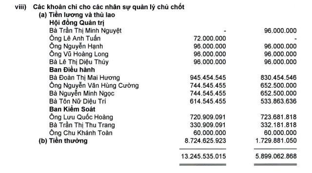 Lãnh đạo doanh nghiệp nghìn tỷ với lợi nhuận tăng 6,755%, vua hàng hiệu Johnathan Hạnh Nguyễn nhận thù lao gây sốc
