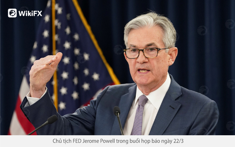 Xu hướng các loại tài sản sau khi Fed tăng lãi suất - WIKIFX VIETNAM LIVE