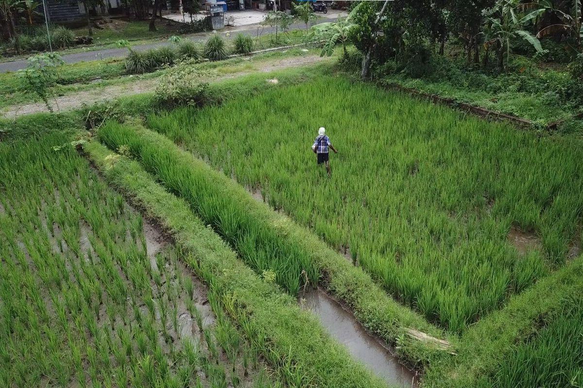 Pupuk Subsidi di Banjarbaru Kurang, Pemda Dapat Usulkan Penambahan Alokasi
