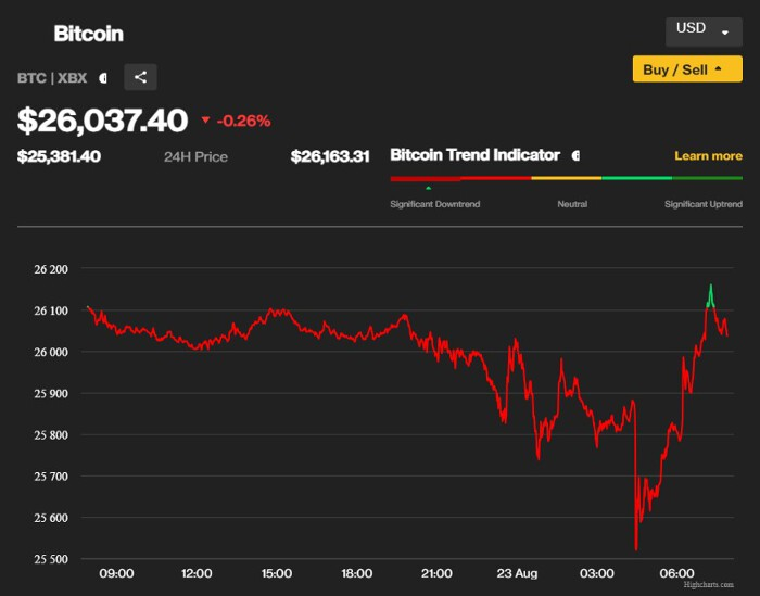 Bitcoin ngày 23/8: Có thời điểm về dưới 25.400 USD