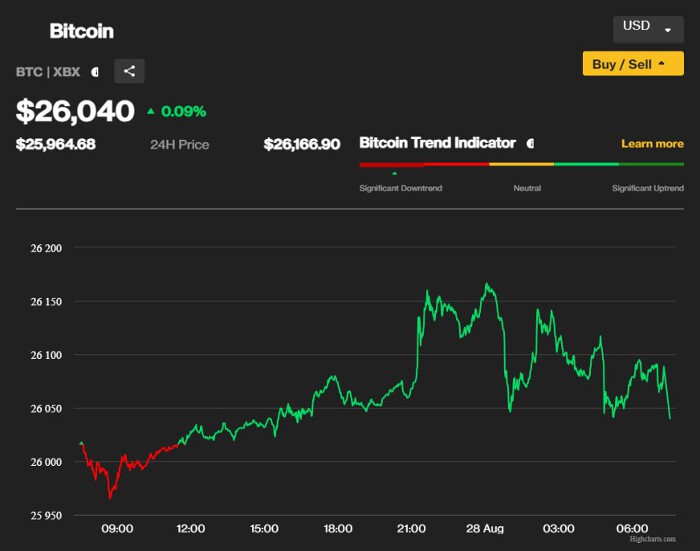 Giá bitcoin ngày 28/8: Đi ngang 4 phiên liên tiếp