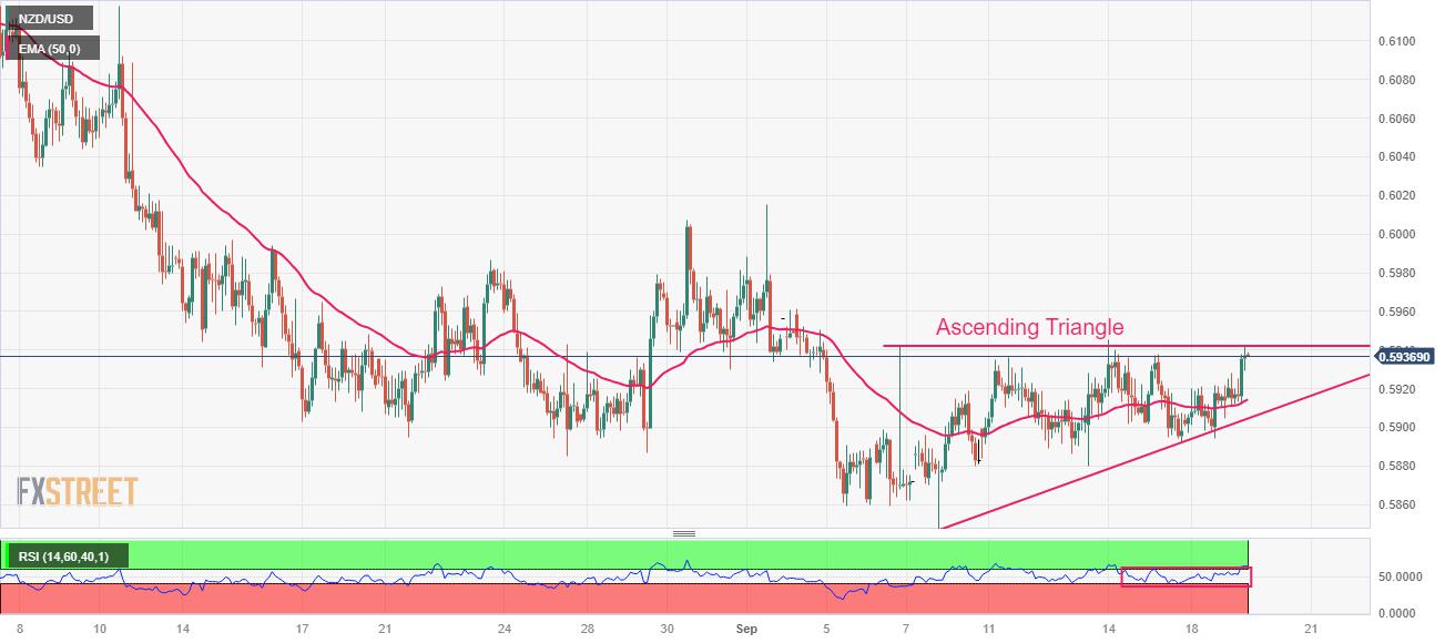 NZD/USD Price Analysis: Remains inside woods ahead of Fed policy