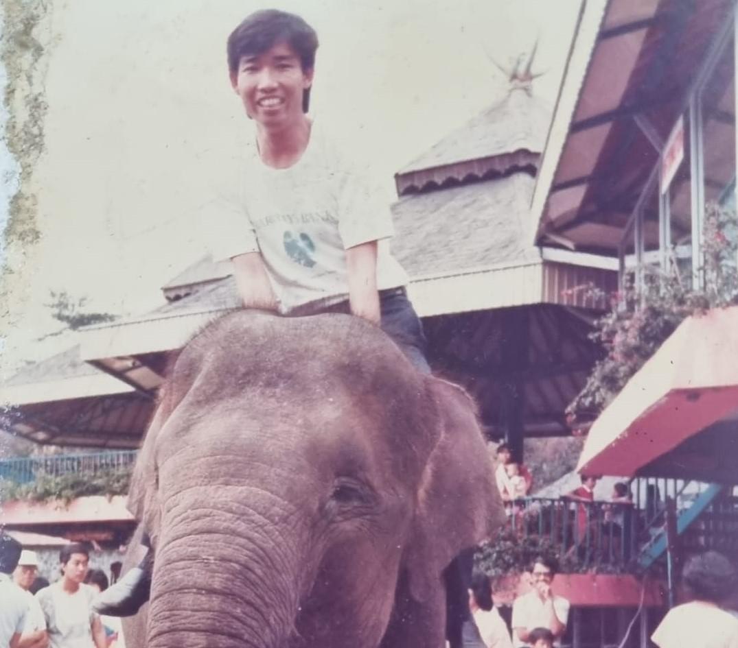 Saham Gajah Tunggal (GJTL) ARA, Lo Kheng Hong Buka Suara