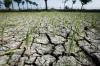 Sektor Saham yang Diuntungkan El Nino, Patut Dicermati hingga 2024