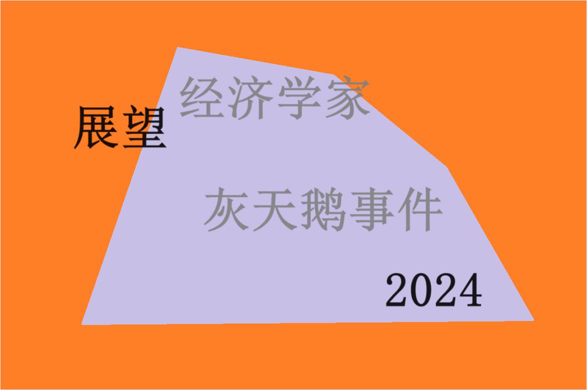 年终展望：知名经济学家预测2024年全球经济“灰天鹅