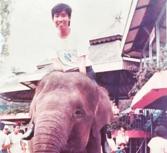 Lo Kheng Hong Masuk Lagi, Saham Gajah Tunggal (GJTL) Terbang