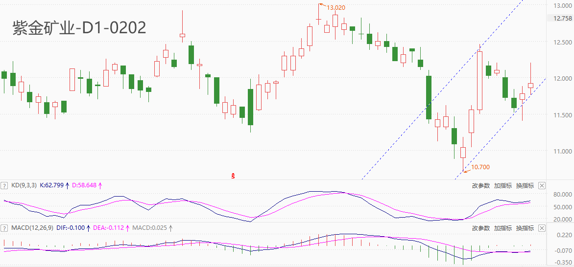 ATFX港股：国际金价持续走强，紫金矿业股价受显著提振