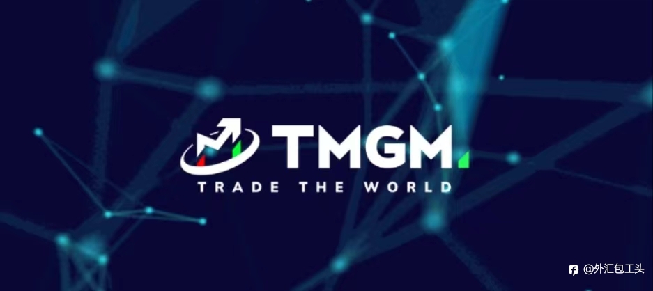 TMGM官网关于2024年外汇发展的具体内容