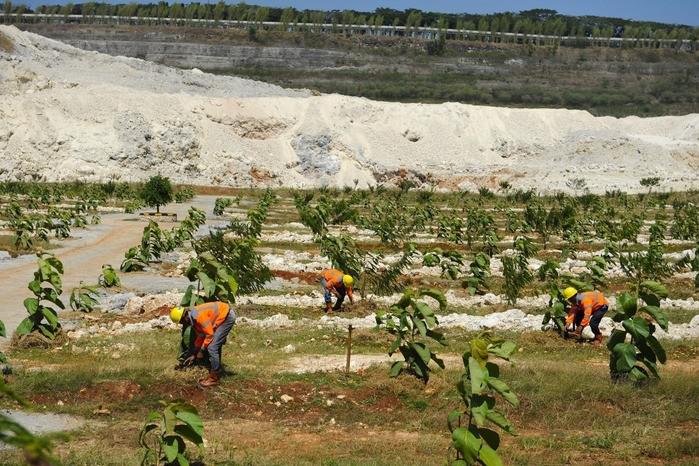 Hingga 2023, SIG Sukses Reklamasa 238,64 Hektare Lahan Pascatambang di Tuban