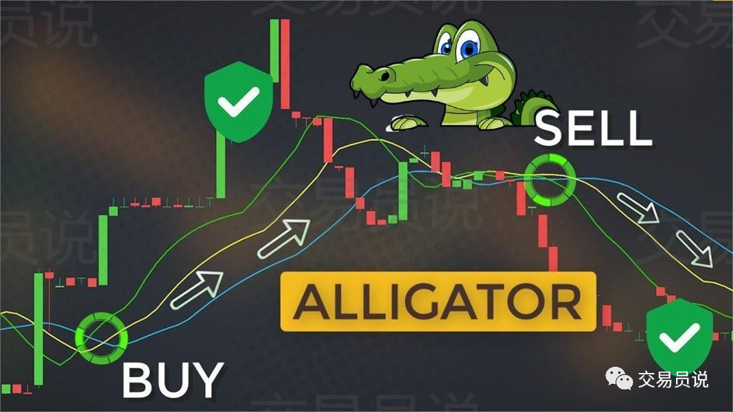 鳄鱼指标（Alligator）