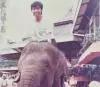 Harapan Lo Kheng Hong buat Kinerja Gajah Tunggal (GJTL)