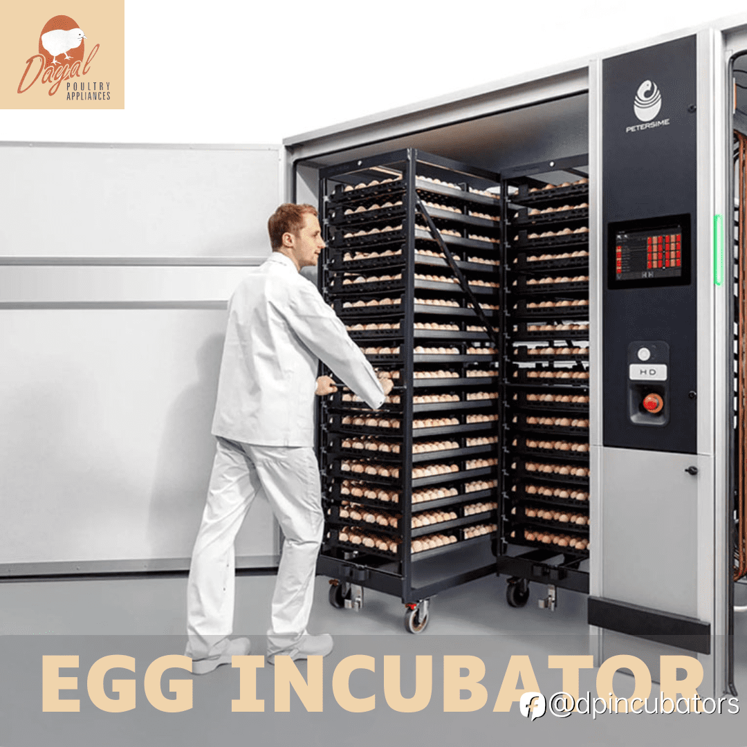 The Importance of Temperature Control in Egg Incubators
