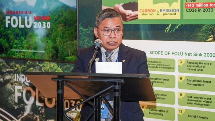 Babak Baru Perlawanan RI-Malaysia Hadapi Regulasi Deforestasi Uni Eropa